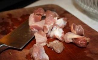 Masakan ampela ayam - resep orisinal untuk mendiversifikasi menu rumah Anda