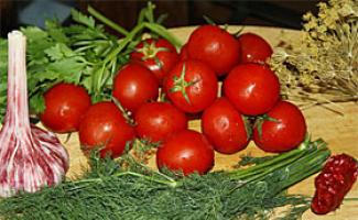 Как солить помидоры в банку и бочку, на зиму — правильно засаливаем красные и зелёные томаты