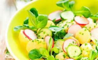 Salad musim panas - resep dengan foto Salad apa yang harus disiapkan di musim panas
